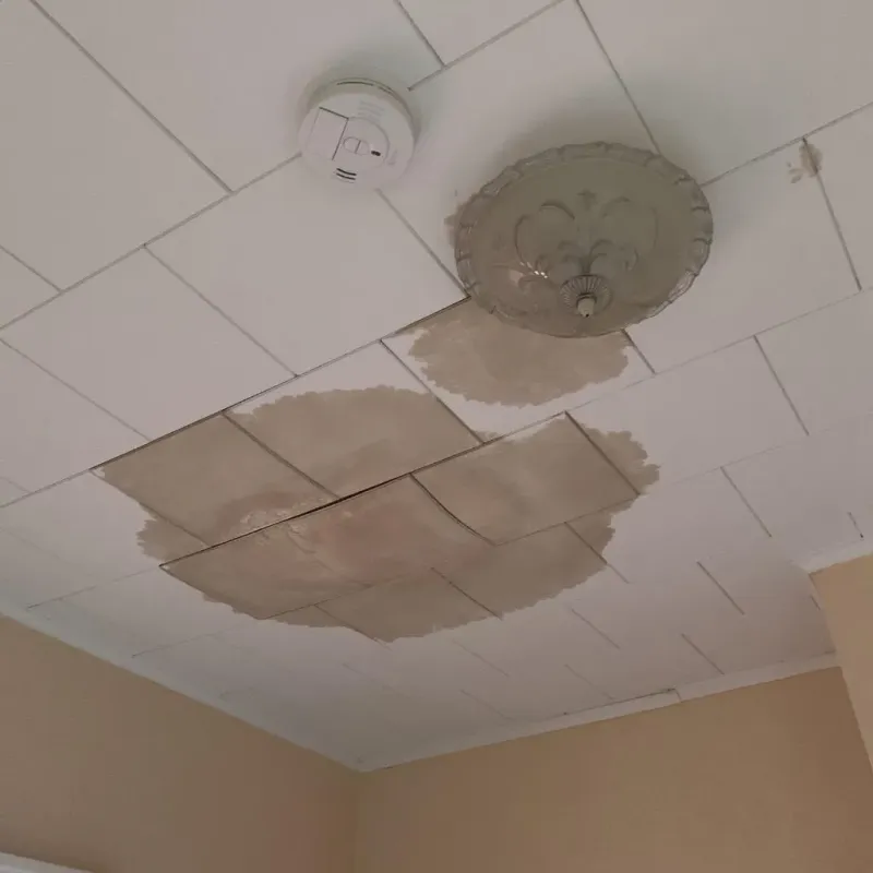 Ceiling Water Damage Repair in Wildwood Lake, TN