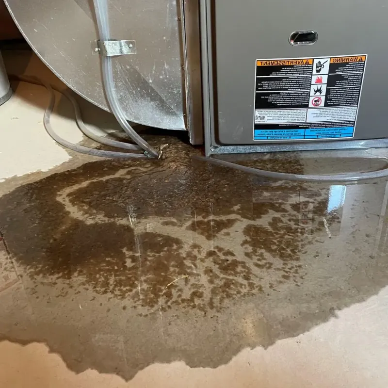 Pipe Burst and Leak Restoration in Wildwood Lake, TN