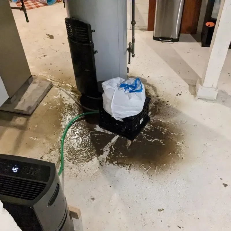 Sewage Backup Cleanup Service in Wildwood Lake, TN